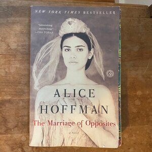 Book, The Marriage of Opposites by Alice Hoffman